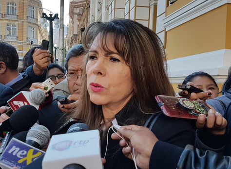 La diputada del movimiento Al Socialismo (MAS) Romina Pérez en declaraciones a los medios. Foto: La Razón