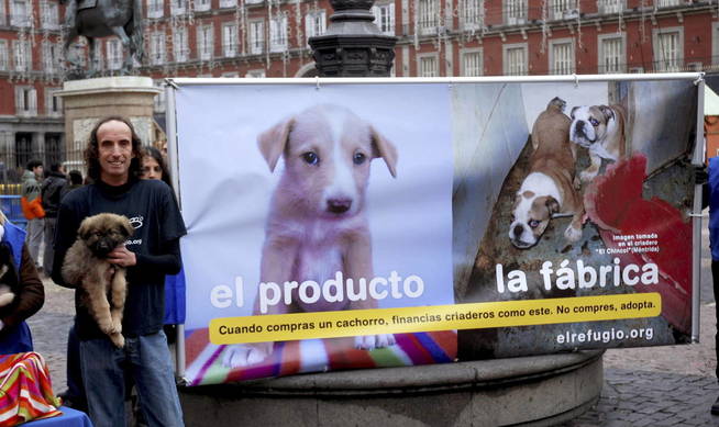 ONGs de todo el mundo luchan contra los criaderos de animales