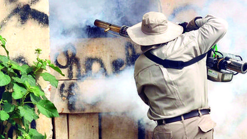 Epidemia: 11 muertos y 2.576 casos en 3 regiones por dengue