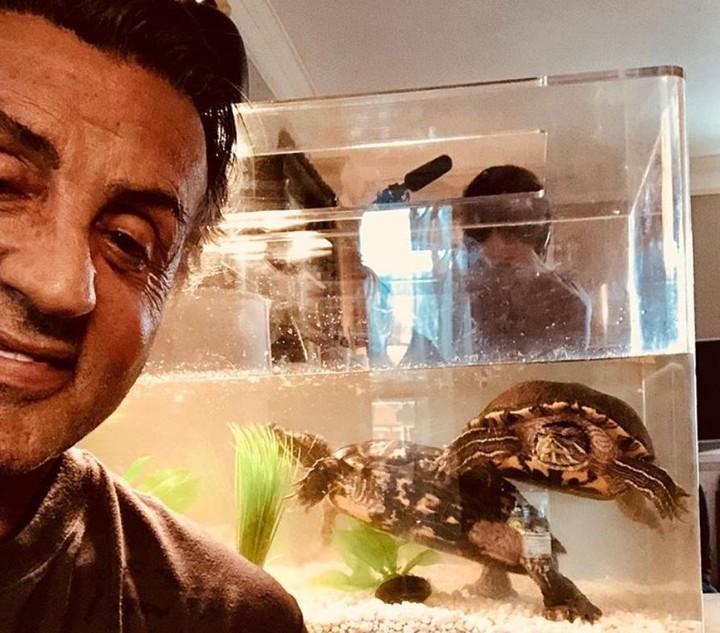 Sylvester Stallone con Suff y Link las tortugas que estuvieron en la primera Rocky.