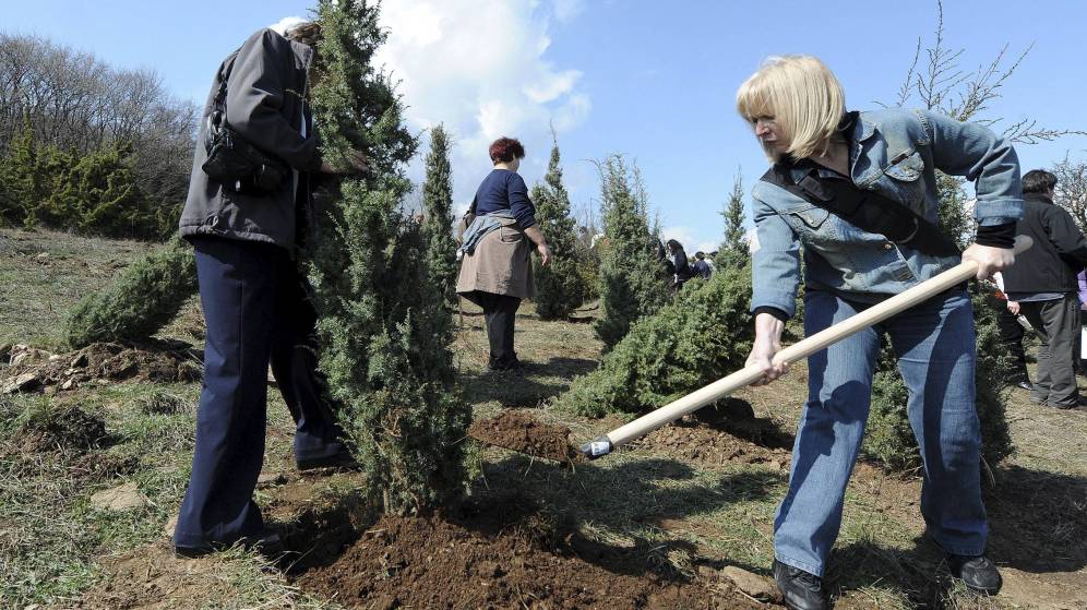 Foto: Con esta medida se esperan plantar más de 175 millones de árboles cada año (EFE/Georgi Licovski)