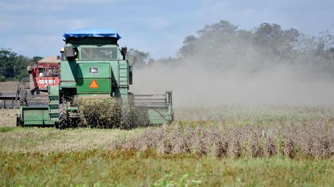 Gobierno Boliviano Autoriza Exportación Del 60% De Producción De Soya ...