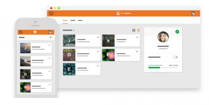 GoDaddy Pro