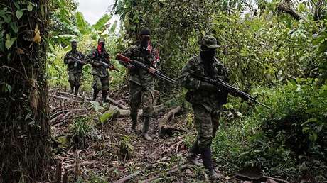 Milicianos del Ejército de Liberación Nacional de Colombia patrullan una zona selvática del noroeste de Colombia, el 31 de agosto de 2017.