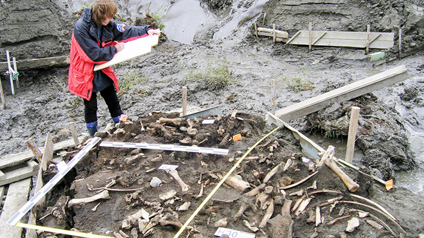 Dos dientes de leche de hace 31.000 años revelan la existencia de una antigua población humana hasta ahora desconocida