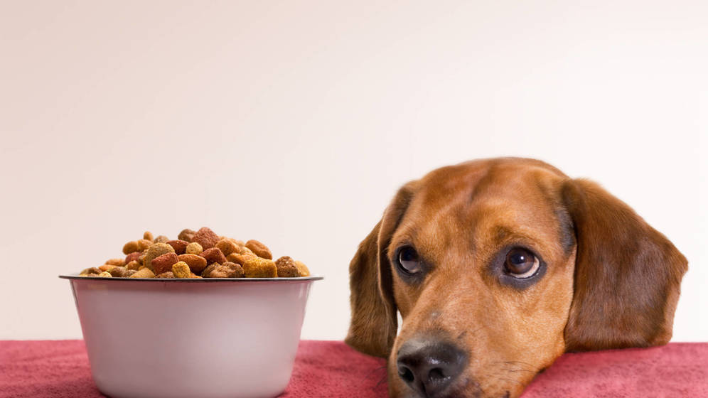 Foto: Foto: iStock.
