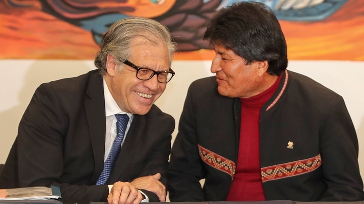 El secretario general de la Organización de Estados Americanos (OEA), Luis Almagro, conversando con el presidente de Bolivia, Evo Morales, durante la firma de un acuerdo el 17 de mayo de 2019 en La Paz
