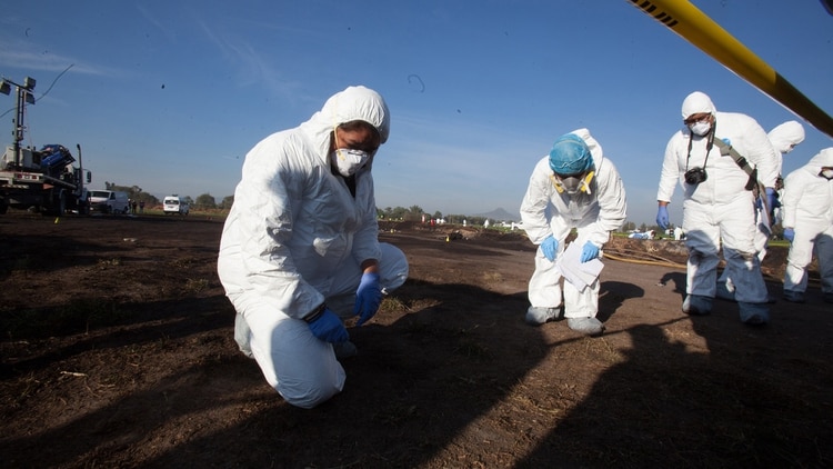 Expertos forenses registran una zona en busca de restos (Foto: EFE)