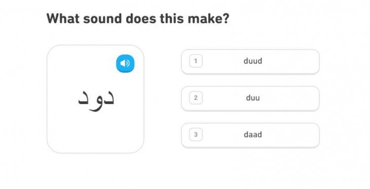 Duolingo ya enseña árabe con solo 5 minutos diarios – eju.tv