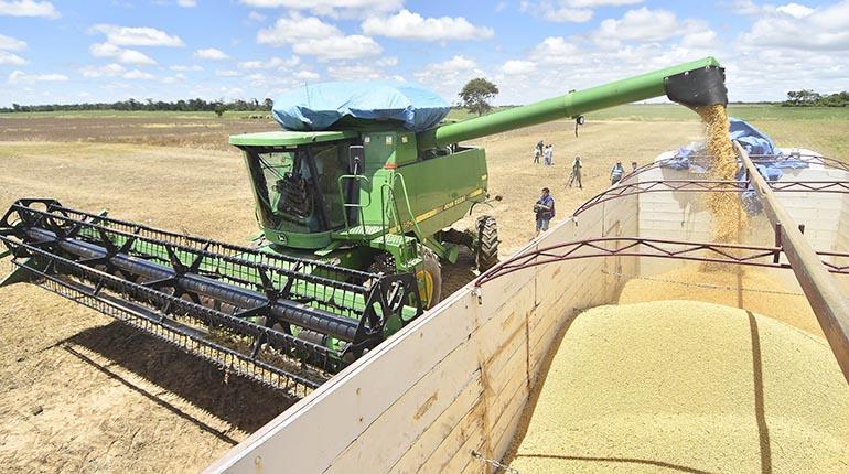 Cosecha de la soya. | APG