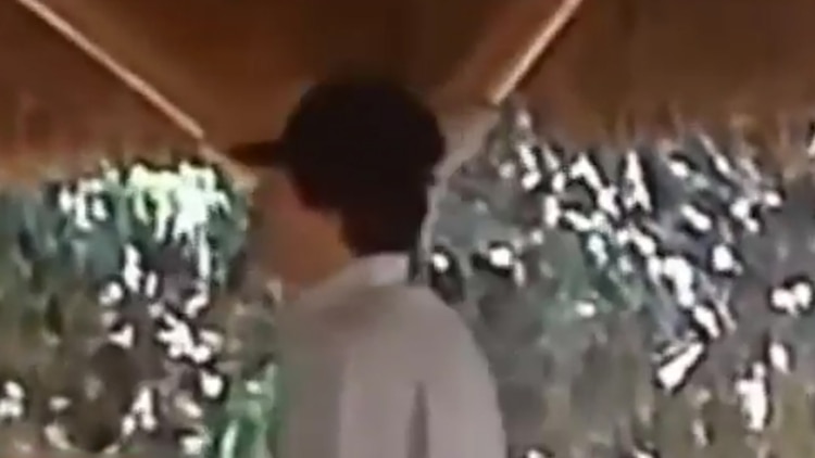 El FBI encontró coincidencias entre un hombre que aparecía en un video interrogando a un sicario y las grabaciones que tienen de Guzmán Loera (Captura de pantalla)