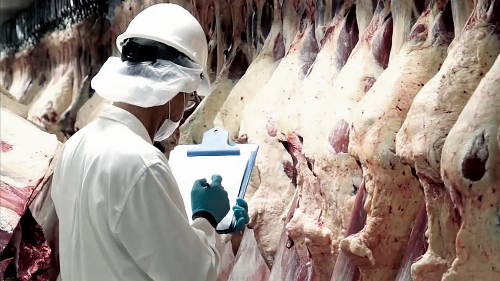 Resultado de imagen para exportar carne a china