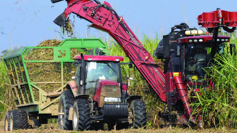 EEUU amplía la cuota para la exportación de azúcar boliviana