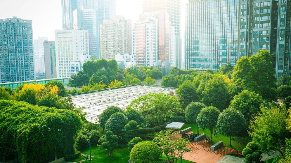 Foto: Foto: iStock.