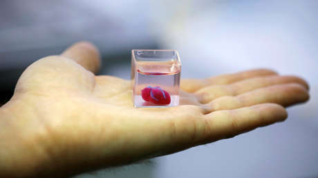 Científicos presentaron el primer corazón vascularizado del mundo impreso en 3D, en Tel Aviv, Israel, el 15 de abril de 2019.