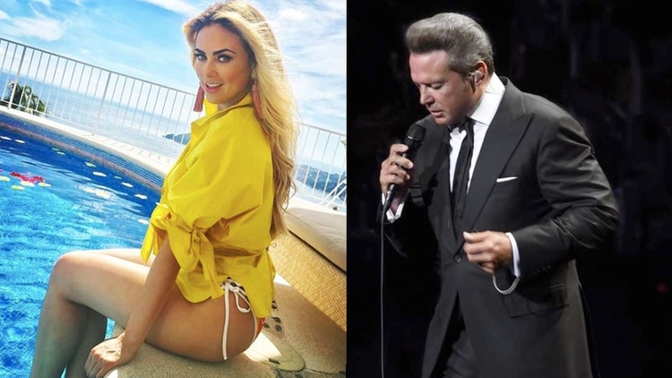 Aracely Arámbula rehizo su vida después de tener dos hijos con Luis Miguel (Foto: Instagram AracelyArambula, LMXLM)
