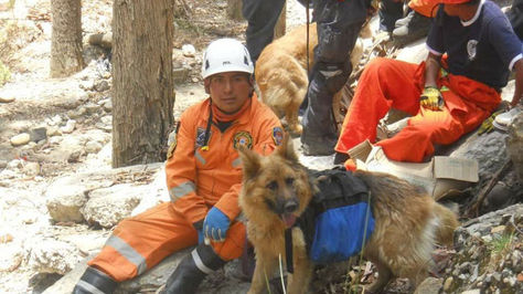 Tacha junto a su dueño Emilio Alanoca. 