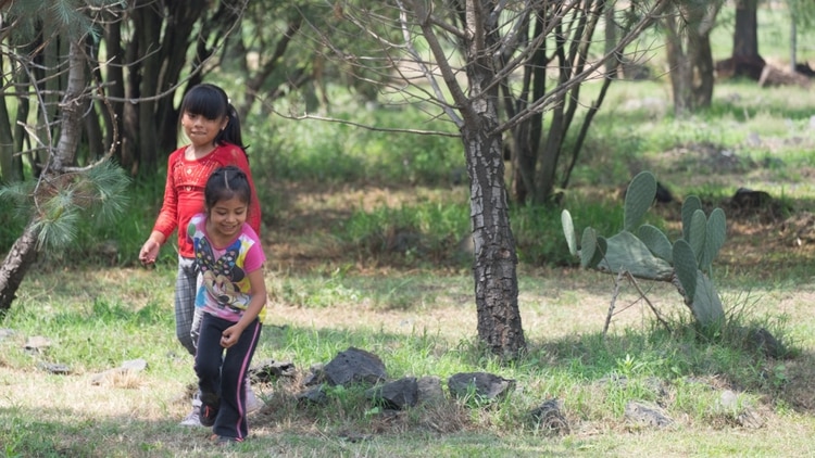 En 2018, al menos 50 niñas de 10 años, fueron obligadas a ser madres porque el Estado las obligó a continuar con su embarazo (Foto: Cuartoscuro)