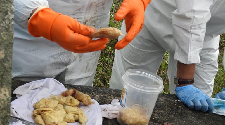 Muestra IDIF. | Fiscalía Oruro