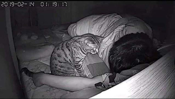 Lomphonten y su gato Achi.