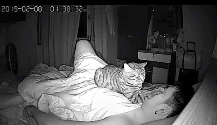Lomphonten y su gato Achi.