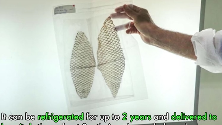 La joven podrá tener relaciones sexuales, pero no será fértil (Foto: Archivo)