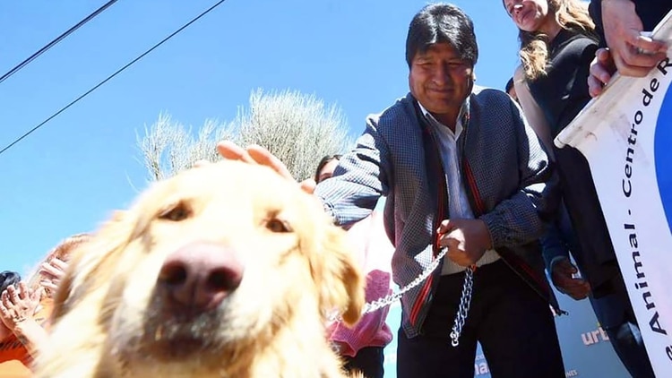 Evo Morales, adoptó el jueves al perro Ringo durante un acto de campaña  en La Paz