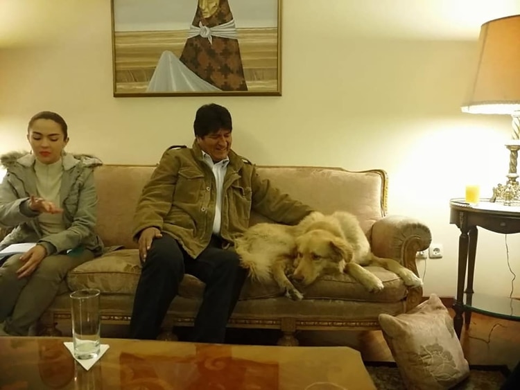 Evo Morales y su perro Ringo, recién adoptado, que se ha vuelto parte de la campaña.