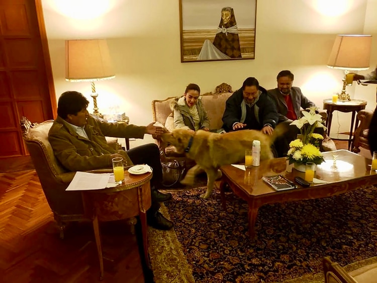 Evo Morales y su perro Ringo, recién adoptado. En una reunión en la Residencia Presidencial el lunes, con algunos ministros