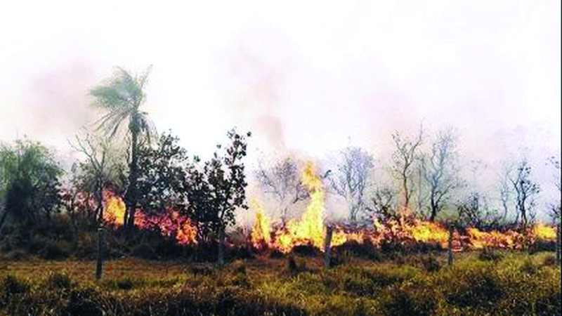 Controlan fuego en Pailón;  hay áreas críticas en  14 municipios