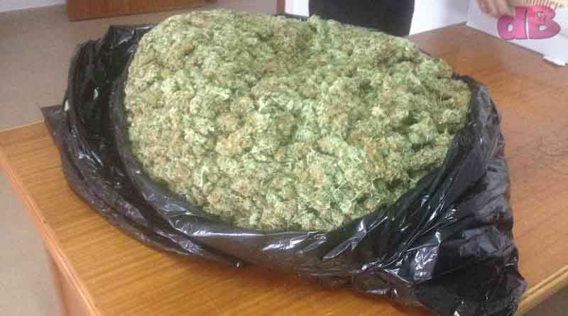 Resultado de imagen para kilos de marihuana