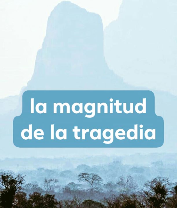 PARA TENER CLARA LA MAGNITUD de lo que pasa en la Chiquitania Todo el…