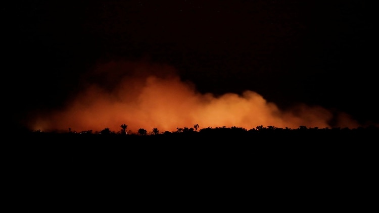 Los incendios en el Amazonas provocaron una fuerte conmoción internacional (Reuters)