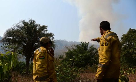 Bomberos y coluntarios combaten los incendios forestales en la zona de la Chiquitanía. Foto: Álvaro Valero