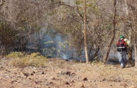 La Autoridad de Bosque suspendió quemas y desmontes en el territorio nacional.