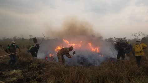 Militares y volunatrios en la sofocación de incendios. Foto:Ministerio de Defensa