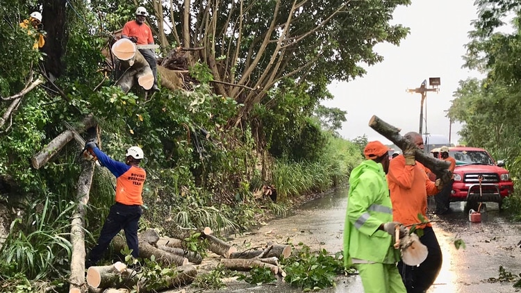 Volunteer members of teh Roving Response Team remove a tree blocking a road after Tropical Storm Dorian passed overnight in Brighton St. George, Barbados August 27, 2019. REUTERS