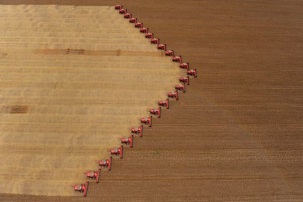Trabajadores cosechaban soya en Campo Novo do Parecis, Mato Grosso. En 2018, Human Rights Watch publicó un informe que denunciaba que Brasil es uno de los mayores consumidores de pesticidas en el mundo.