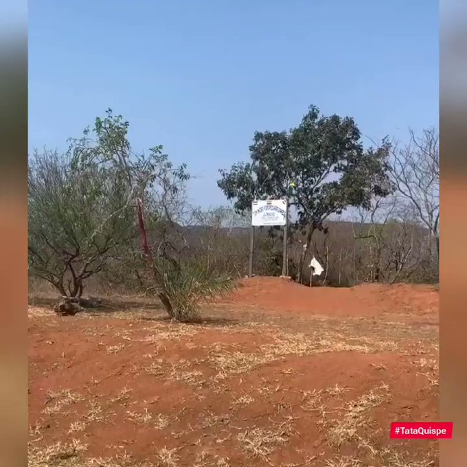 Video insertado