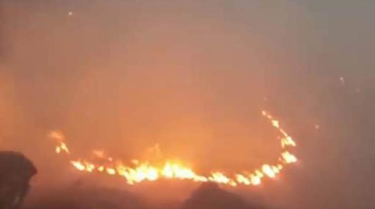 Registran incendio de gran magnitud a 10 kilómetros de la reserva de TariquÃa en Tarija
