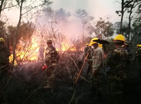 Efectivos de la Armada intervienen en el sector Estancia Retoño, de Santa Cruz, afectado por los incendios forestales.