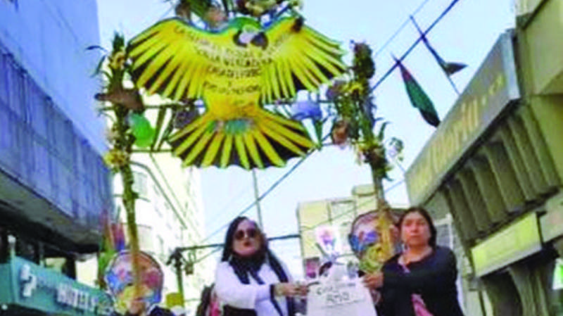 Protestan por la Chiquitania en el país y en el exterior