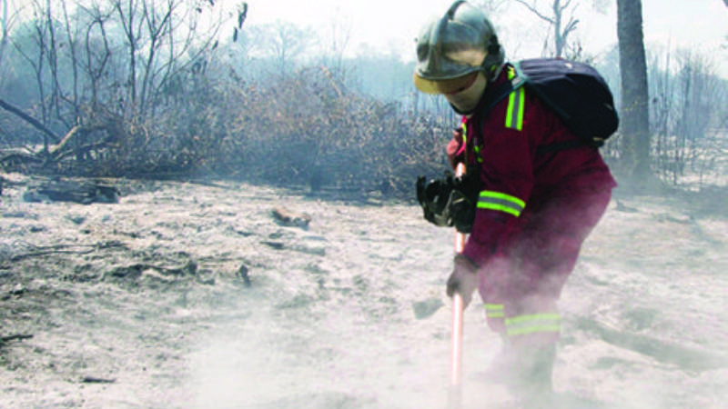 Wilma Alanoca: “Ningún parque ha sido afectado por el fuego”