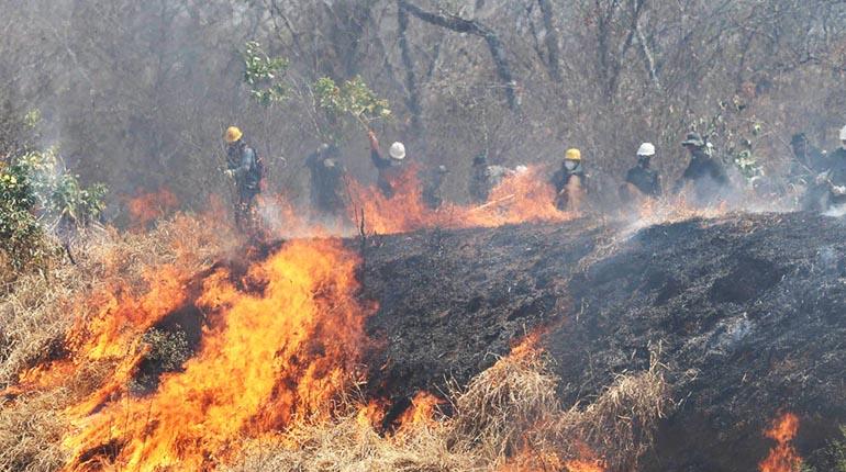 Los bomberos intentan apagar el fuego en el Área Protegida Municipal Laguna Marfil, en San Ignacio de Velasco. | EL DEBER
