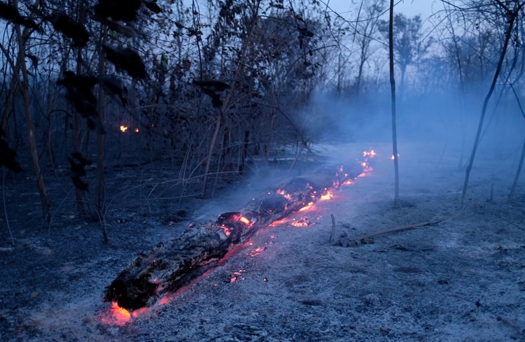 Una parte del Amazonas incendiado en Canarana, en el estado de Mato Grosso (REUTERS/Lucas Landau)