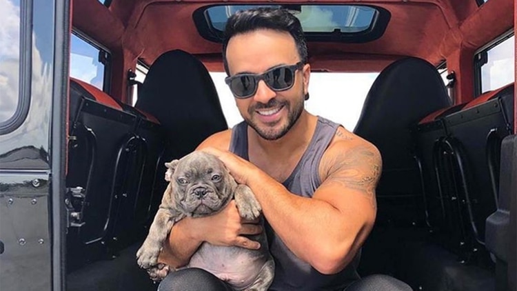 Luis Fonsi está nominado junto a Ozuna y Santana