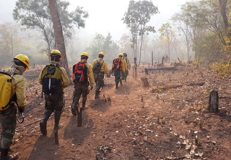 Un grupo de militares ingresa a combatir los incendios forestales en la Chiquitanía. Foto: Ejército