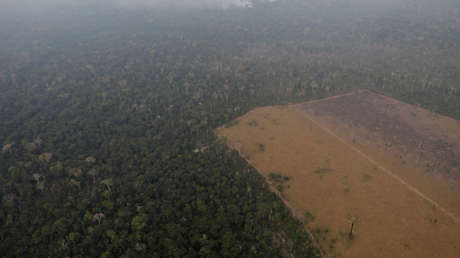 Incendio en la Amazonia, Porto Velho, Brasil, 21 de agoto de 2019.