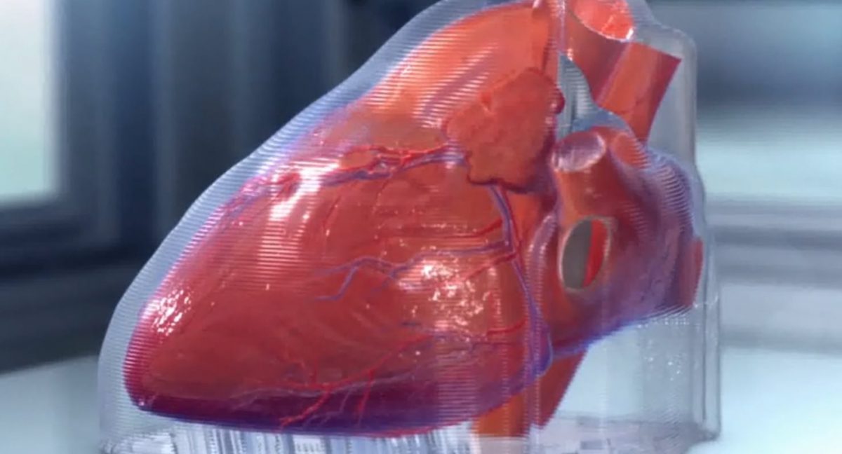 corazón 3D