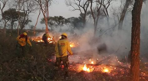 Bomberos combaten el fuego en el municipio de Roboré. Foto: Archivo - Iván Quezada